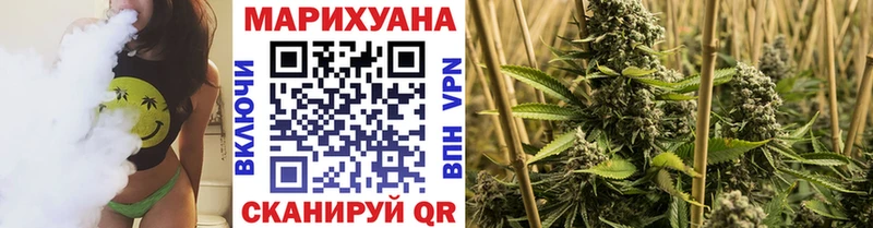 купить наркоту  Асино  Канабис ГИДРОПОН 